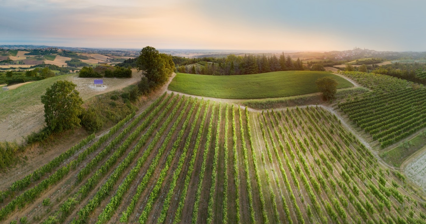 Colline del Monferrato